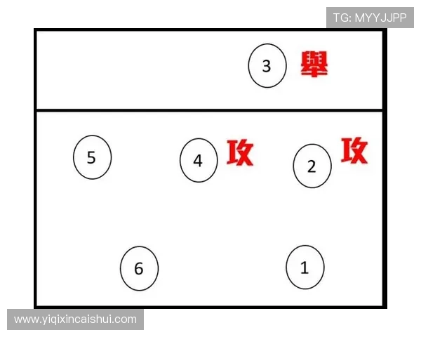 武汉排球队运营模式解析与发展策略探讨助力排球运动普及 武汉排球队运营模式解析与发展策略探讨助力排球运动普及