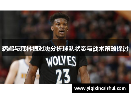 鹈鹕与森林狼对决分析球队状态与战术策略探讨